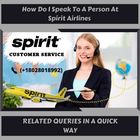 How Do I Speak To A Person At Spirit Airlines 