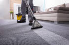 Why Professional Carpet Cleaning is Worth the Investment