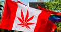 Marijuana Party Of Canada Running In Two Ontario Ridings This Ye